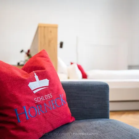 호텔 Horneck Gundelsheim (Baden-Wurttemberg)