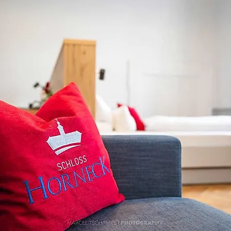 Horneck 3* Gundelsheim (Baden-Wurttemberg)